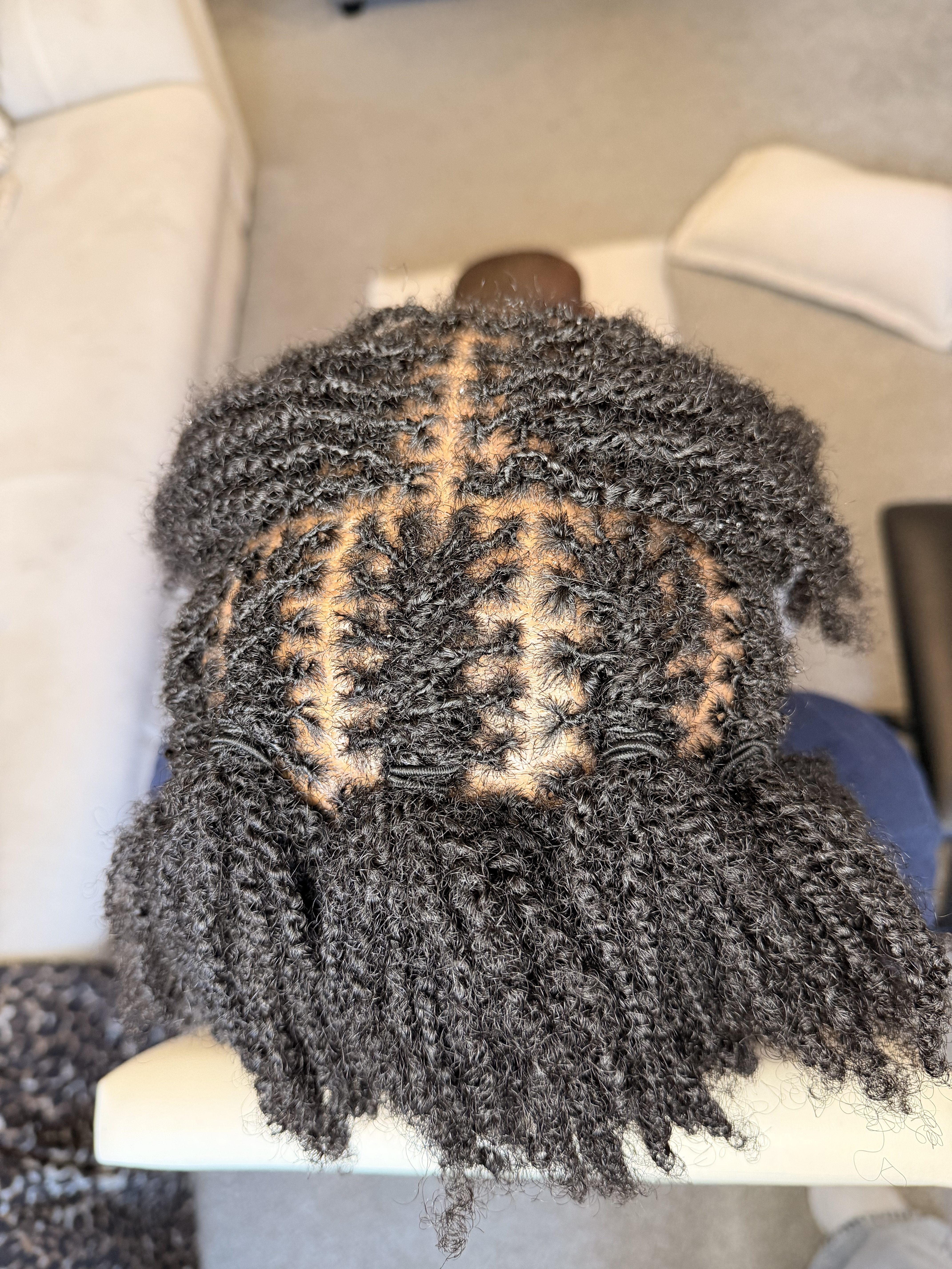 Locs Styling 2